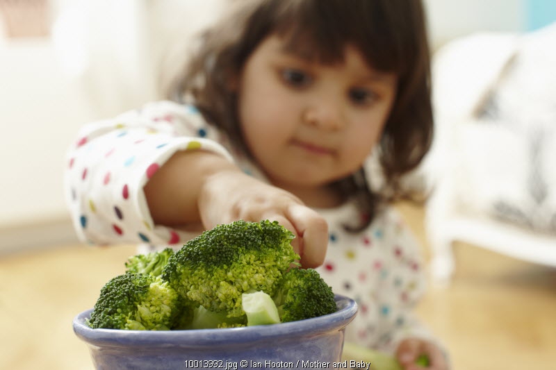 Ini Manfaat Makanan Sehat untuk Anak Ini Manfaat Makanan Sehat untuk Anak