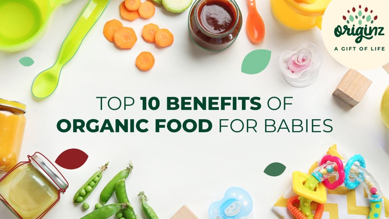 Makanan Organik Bayi: 13 Jenama Makanan Bayi Bebas Pengawet Makanan Organik Bayi: 13 Jenama Makanan Bayi Bebas Pengawet