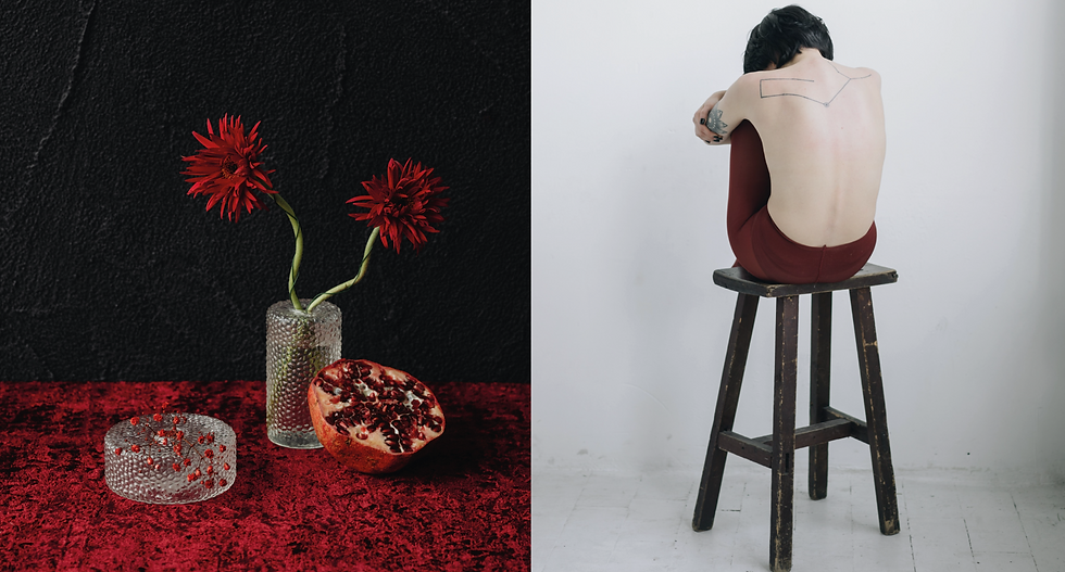 Spring Summer 2026 Fashion Trends Bundle for Women