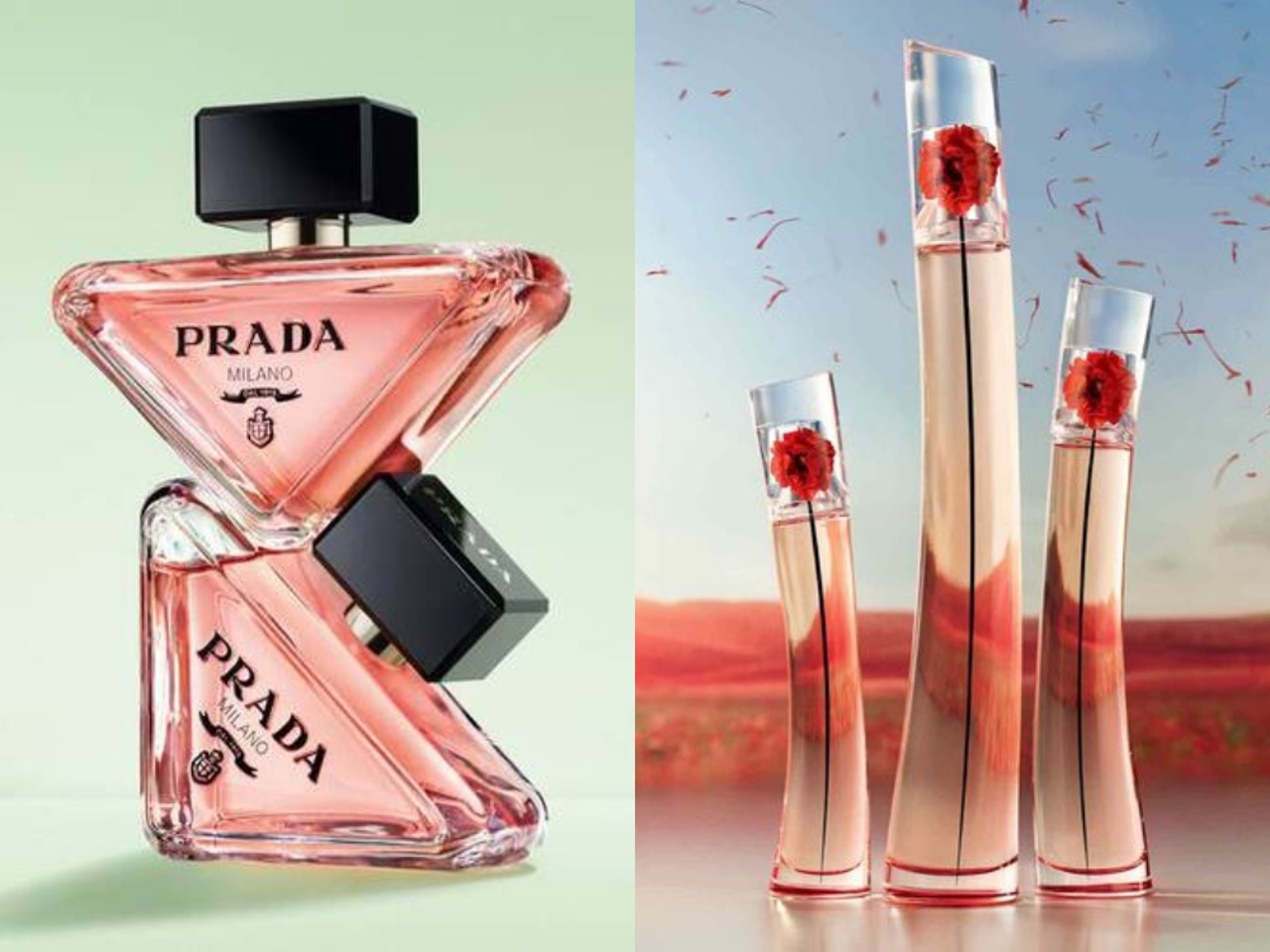 Parfum fashion mewah